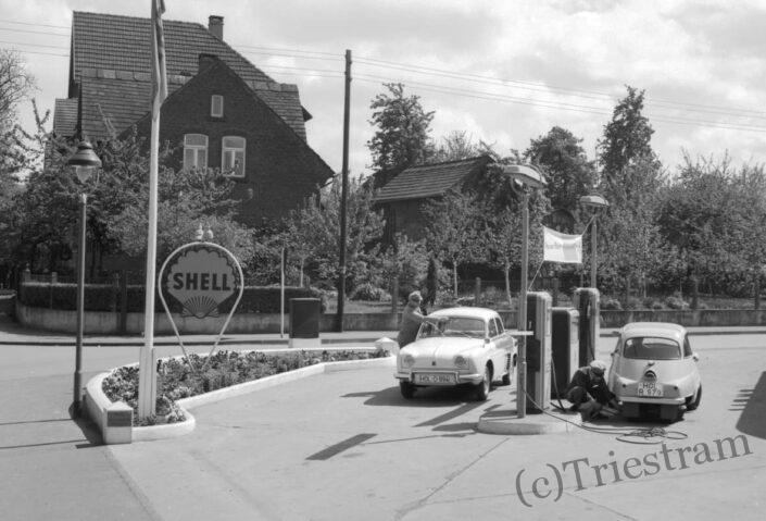 (c) Triestram