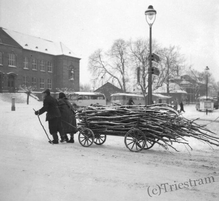 (c) Triestram