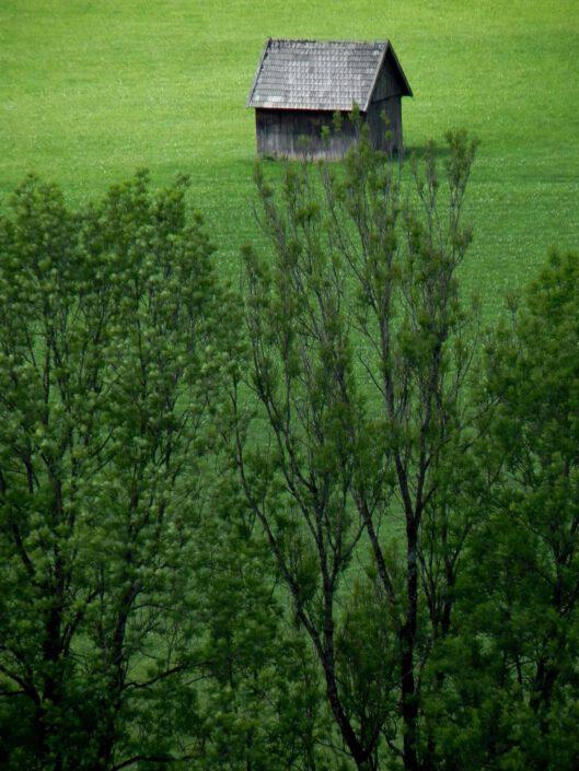 (c) Axel Triestram
