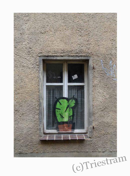 (c) Axel Triestram