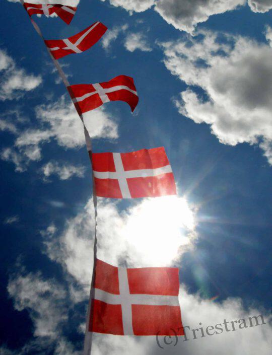 (c) Axel Triestram